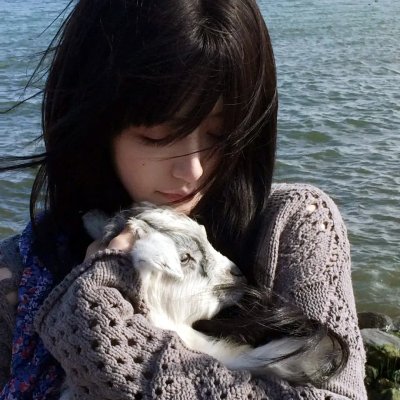 野·良犬粤语