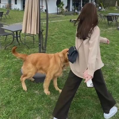 铁娘子：魔鬼航班666